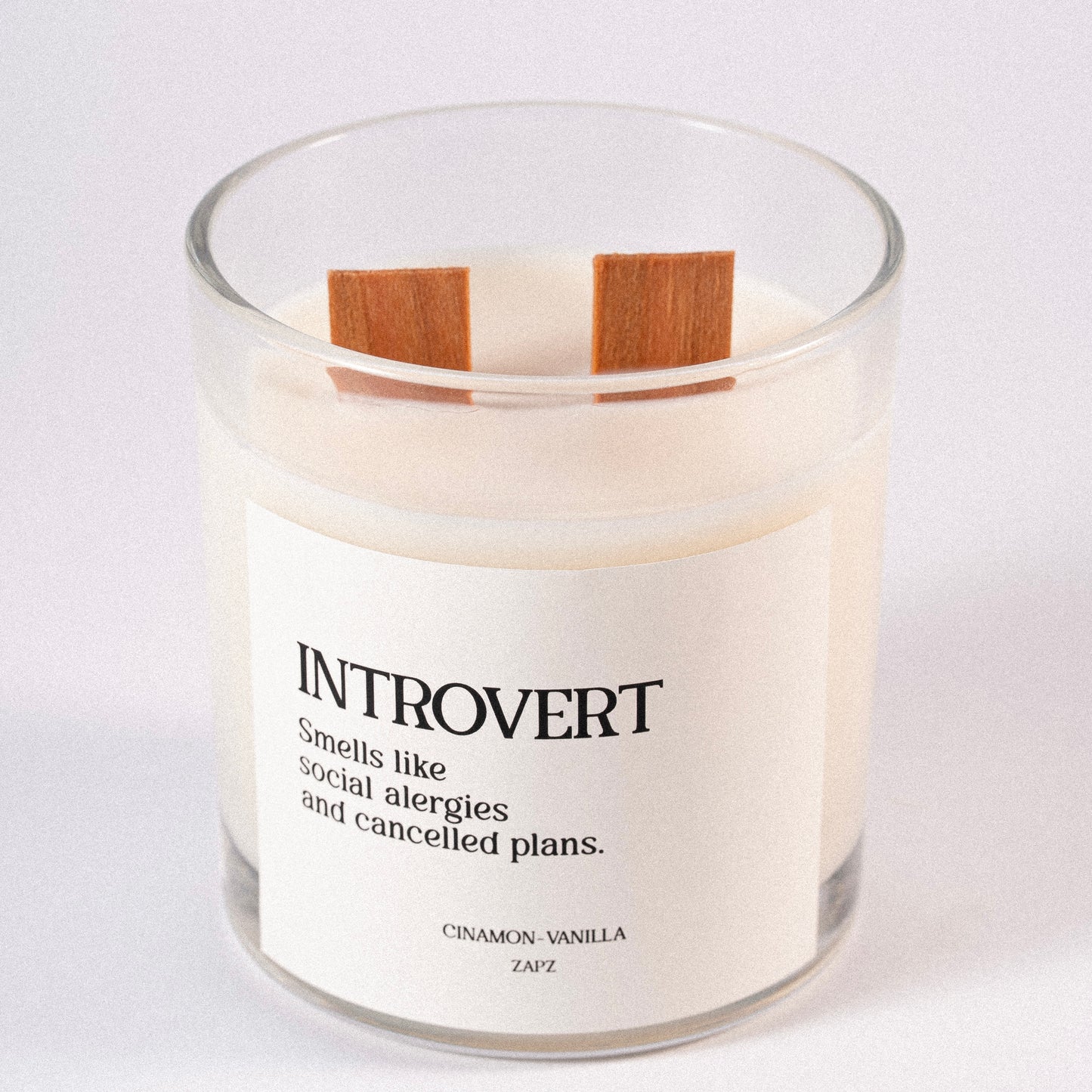 INTROVERT CANDLE (CINNAMON VANILLA)