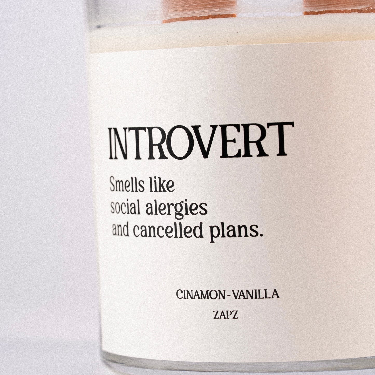 INTROVERT CANDLE (CINNAMON VANILLA)
